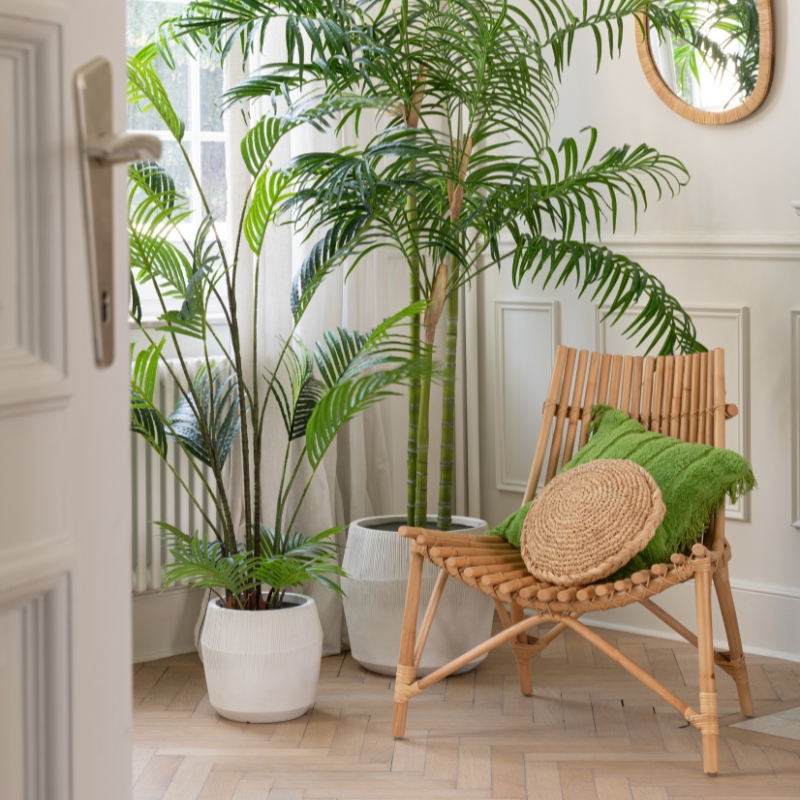 fauteuil rotin naturel hemisphere sud