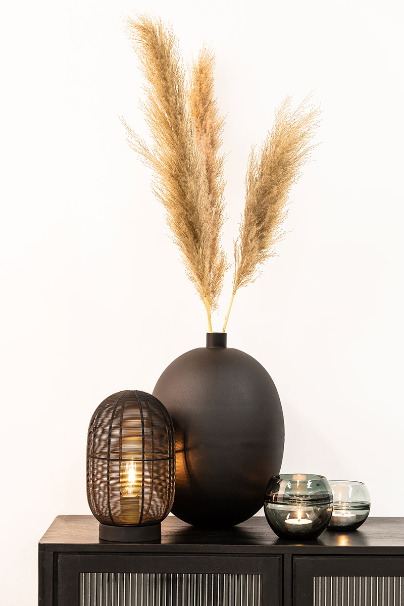 herbes-pampas-vase-hemisphere-sud