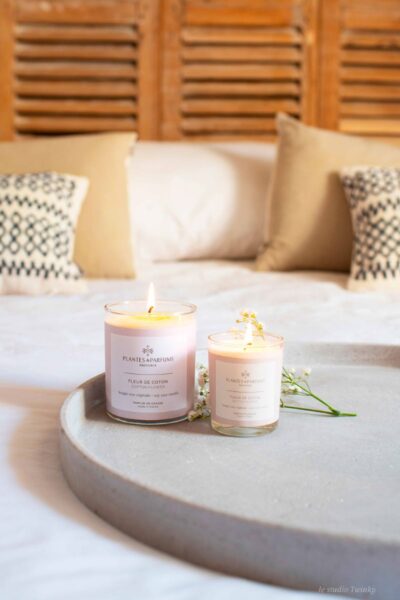 bougies parfumees fleur coton hemisphere sud