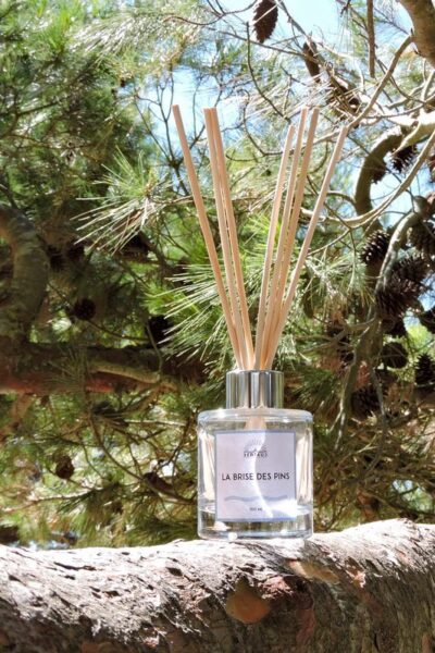 bouquet parfume batonnets brise des pins hemisphere sud