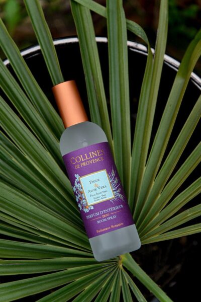 parfum interieur figue aloe vera collines de provence hemisphere sud