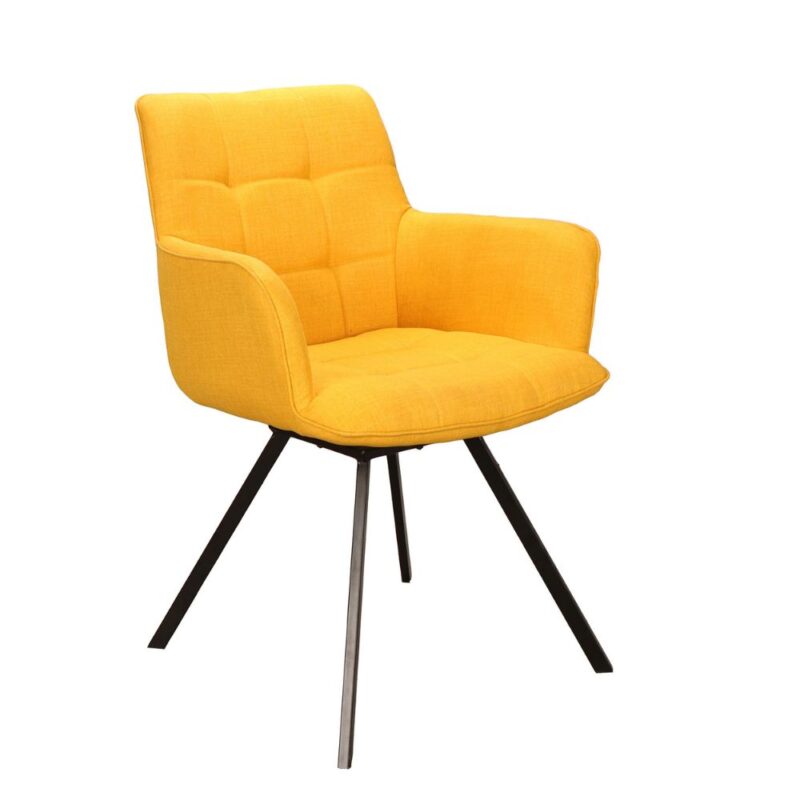 chaise avec accoudoirs fleury