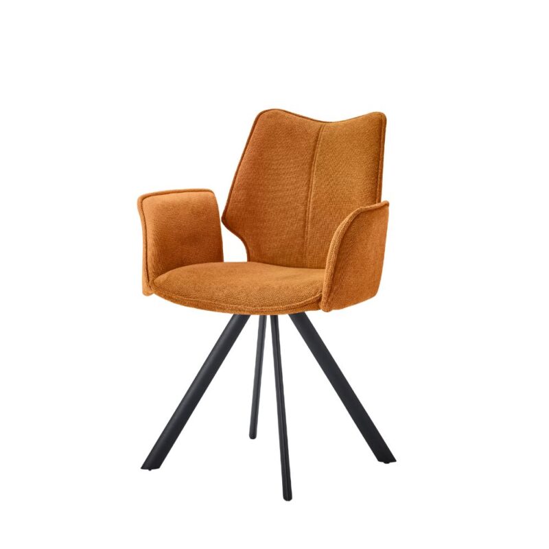 chaise avec accoudoirs sandra
