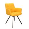 chaise avec accoudoirs fleury