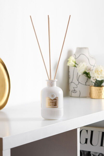 idee cadeau diffuseur batonnets hemisphere sud