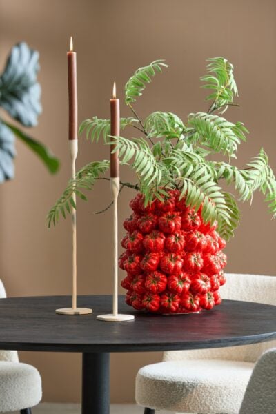 vase tomates hemisphere sud