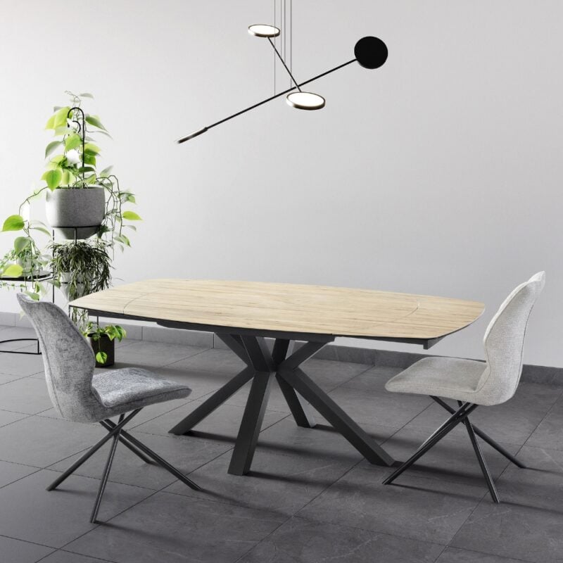 table de repas ovale extensible omega